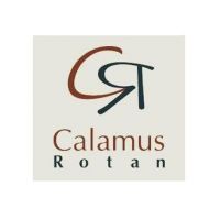 CALAMUS ROTAN