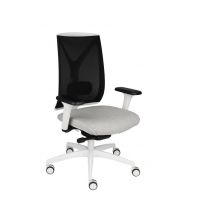 GROSPOL - VALIO Fotel Obrotowy WS White / Chrome | Mechanizm Synchro Plus SP3 | Regulowana Głębokość Siedziska i Profil Lędźwiowy | Zgodny z Rozporządzeniem z 2023 roku